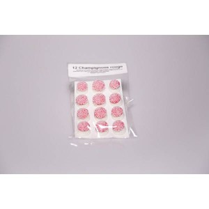 Champignon sucre rouge - x384
