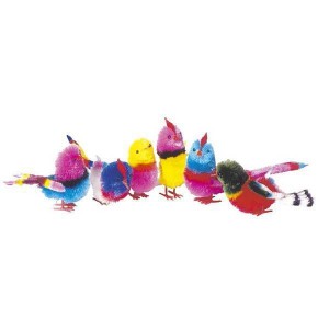 Oiseaux de Paradis