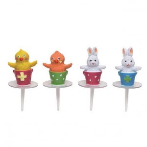Poussins et Lapins dans seau