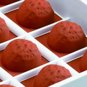 Moules flexibles à pâtes de fruit (demi-fraise)