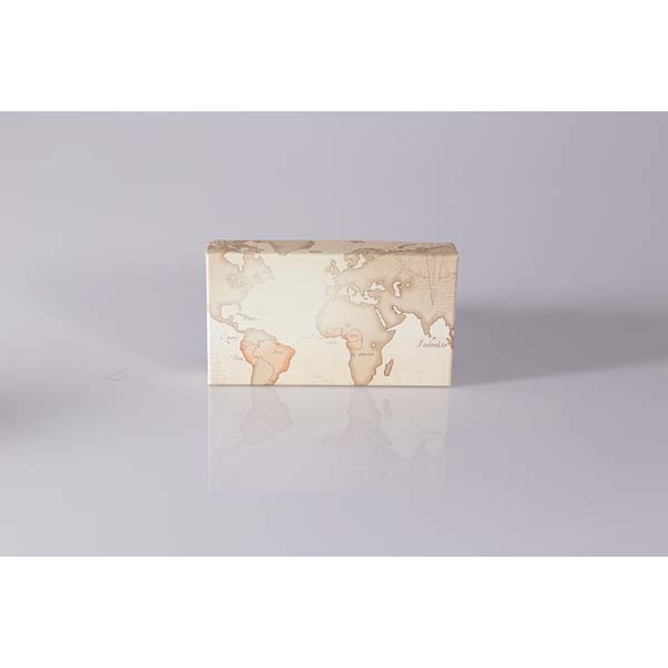 Plumier MAP 370 grs