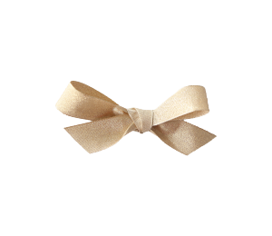 Ruban taffetas paillette - 25 mm x 25 mts