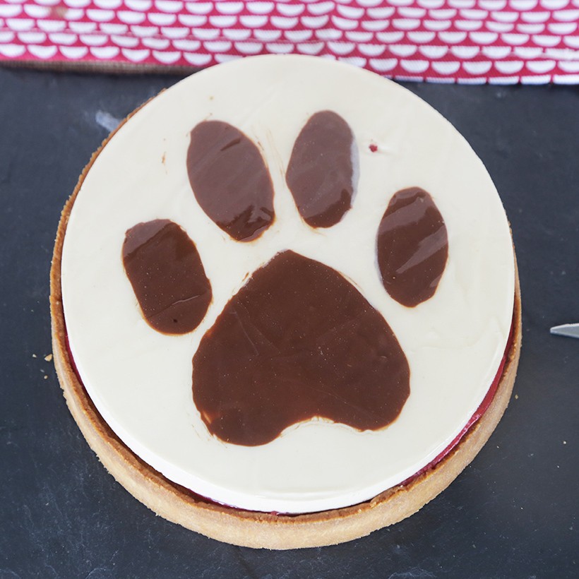 Recette de tarte animaux (chien ou chat)