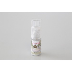 Colorant poudre argent 10g