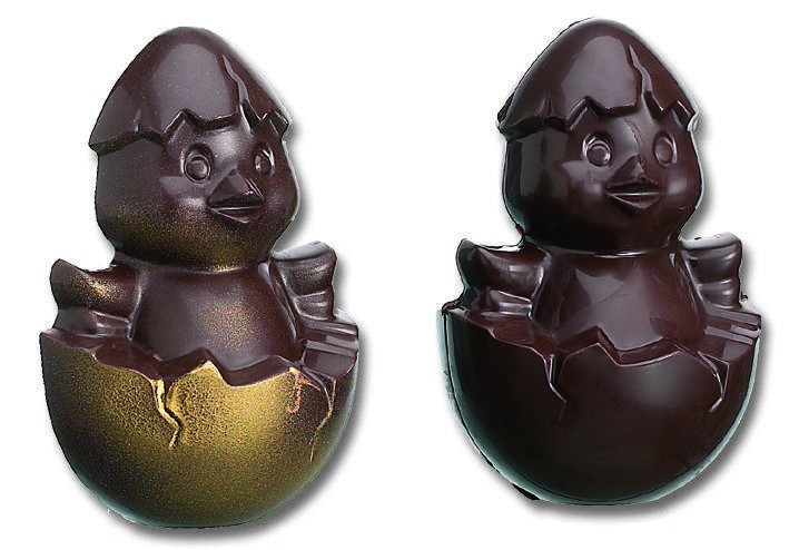 2 poussins coquille