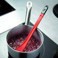 Spatule thermomètre.