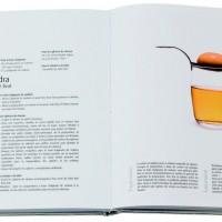 Petit précis de cuisine moléculaire