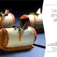 Entremets - Petits gâteaux fusion