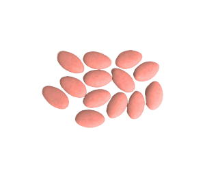 Dragées chocolat Terracotta
