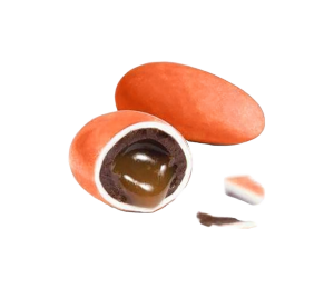 LIQUICROC CARAMEL orange BTE 500GRS