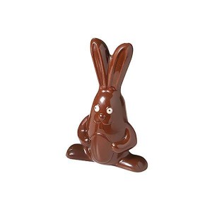 Moule Polycarbonate Lapin