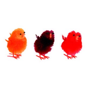 Trio de poussins - x48