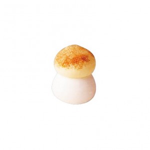 Champignon sucre brun - x384