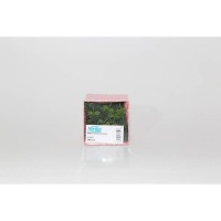 Sapin volume bicolore