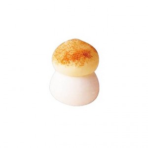 Champignon sucre brun - x192
