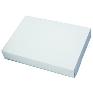 Boîte traiteur blanche - x25 - 35 x 26 cm