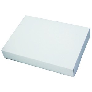 Boîte traiteur blanche - x1 - 42 x 28 cm
