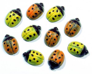Coccinelles