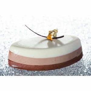 Moule ovales - 96L x 45lg - 400 x 300 mm