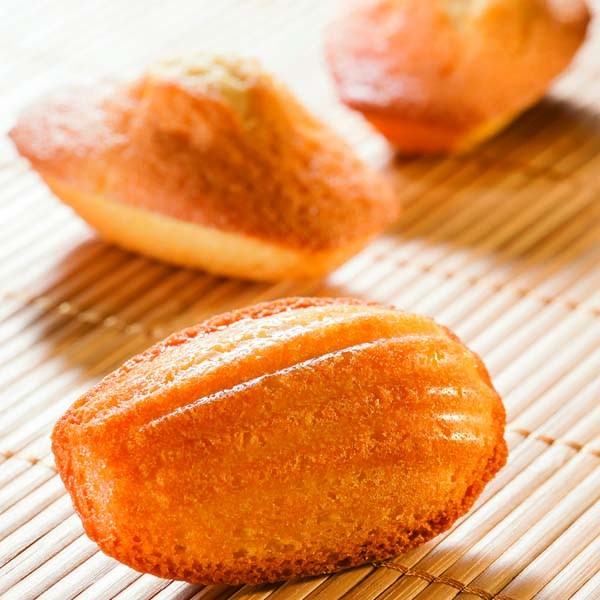 Moule madeleines