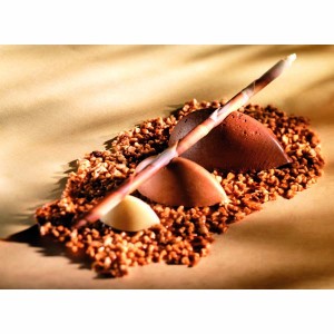 Moule grandes quenelles - 530 x 325 mm